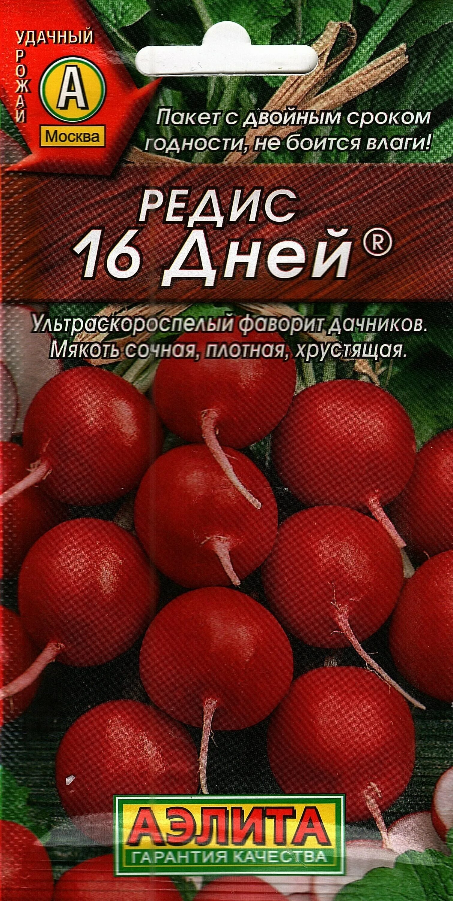 Редис 16 дней. Семена редиса 16 дней.