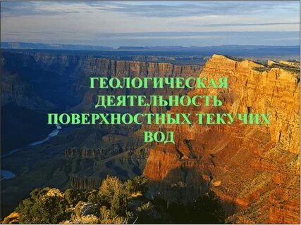 Деятельность поверхностных