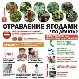 Ягоды при отравлении можно