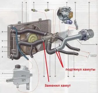 Сколько ож