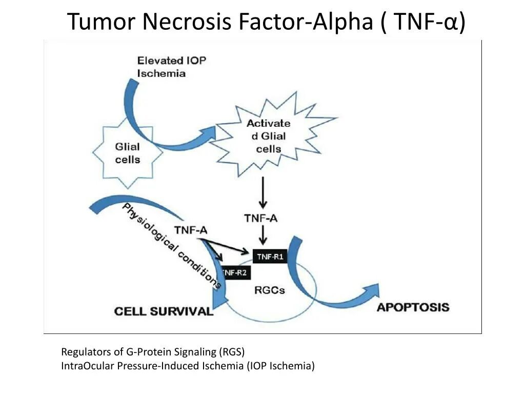 Tumor necrosis. Фактор некроза опухоли альфа. Эффекты фактора некроза опухоли. Фактор некроза опухоли анализ. Фактор некроза опухоли анализ.