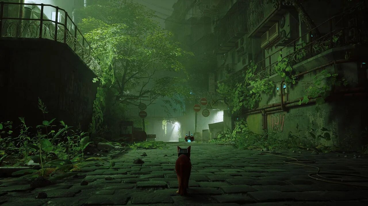 Stray игра обзор. Stray 4k. Stray игра. Stray обзор. Stray cat игра.