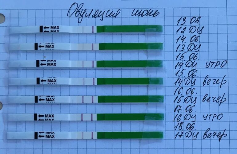 После овуляции должны быть выделения