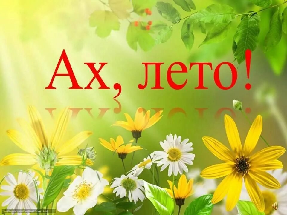 Лето пляж. Лето для дошкольников. С первым днем лета. Надпись ах лето. Картинка со словом лето.