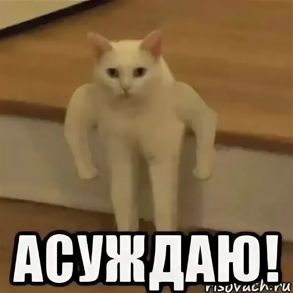 Осуждаю мем. Понимаю и осуждаю мем. Мемы осуждаю. Ловите чиновника крокодил гена. Осуждающие мемы.