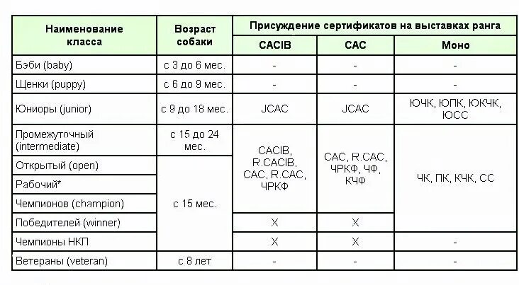 Классы собак на выставке. Ранги выставок собак. Выставочные классы собак. Классы на выставках собак по возрасту РКФ. Выставочные классы у собак на выставках РКФ.