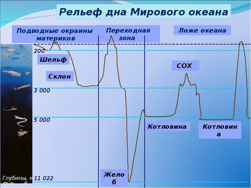 Дно океана география. Формы рельефа дна мирового океана схема. Строение дна океана. Строение дна мирового океана. Строение рельефа дна океана.