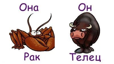 Совместимость знаков рак мужчина и телец женщина