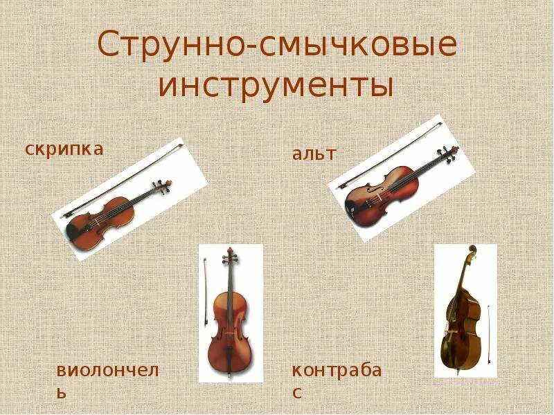 Общее название струнных смычковых инструментов 5