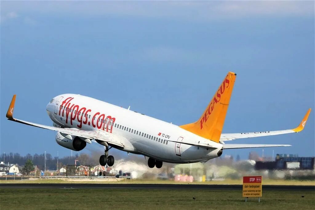 Pegasus авиакомпания сайт. Авиакомпания Пегасус Эйрлайнс. Боинг 737-800 Pegasus Airlines. Пегасус Аирлинес авиакомпания. Пегасус Аэролайн.