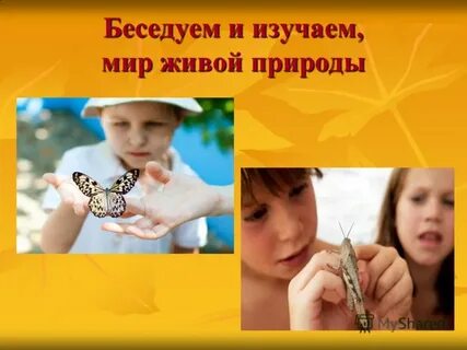 Общение с живой природой