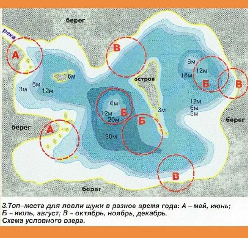 Где ловить щуку в марте. Места ловли щуки. Места стоянки щуки на озере. Места стоянки щуки зимой. Щука места стоянки.