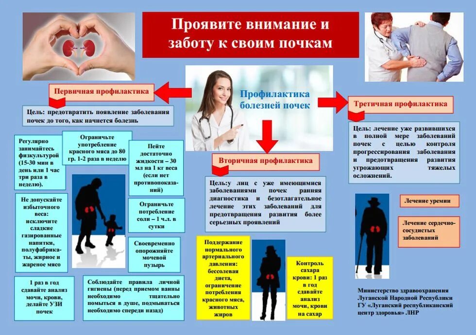 Проявлены внимание и забота. Памятка предупреждение заболеваний почек. Памятка профилактика болезней почек. Профилактика заболеваний почек и мочевыводящих путей. Памятка меры профилактики болезней почек.