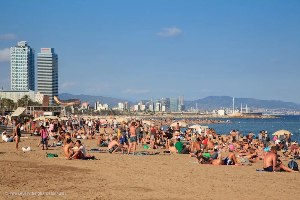 Барселона пляж Каталония. Пляж Barceloneta. Пляжи Барселоны Barceloneta Beach. Где хорошо отдохнуть в июле на море