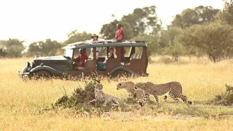 Safari park is