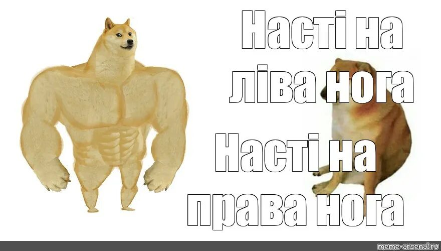 Сильная и слабая собака