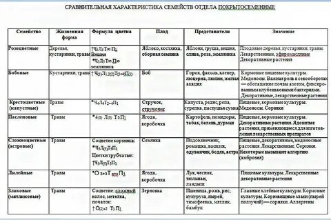 Признаки 5 семейств
