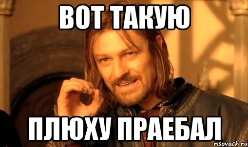 Плюха мем. Бля плюху. Медведь мем. Бля плюху. Я люблю дуть плюхи мем.