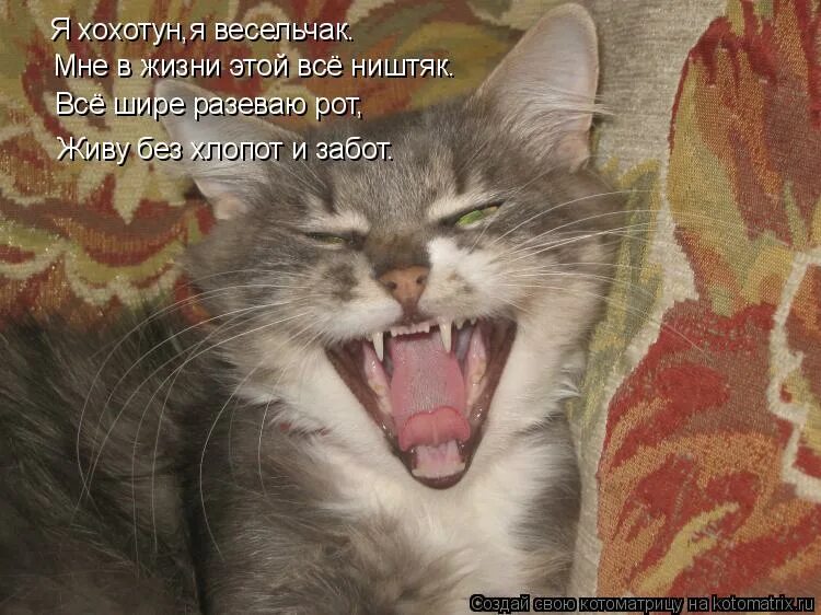 И все ништяк я пру в нагляк. Ящерики птааг. Стикеры ништяк. Все. Открытки.