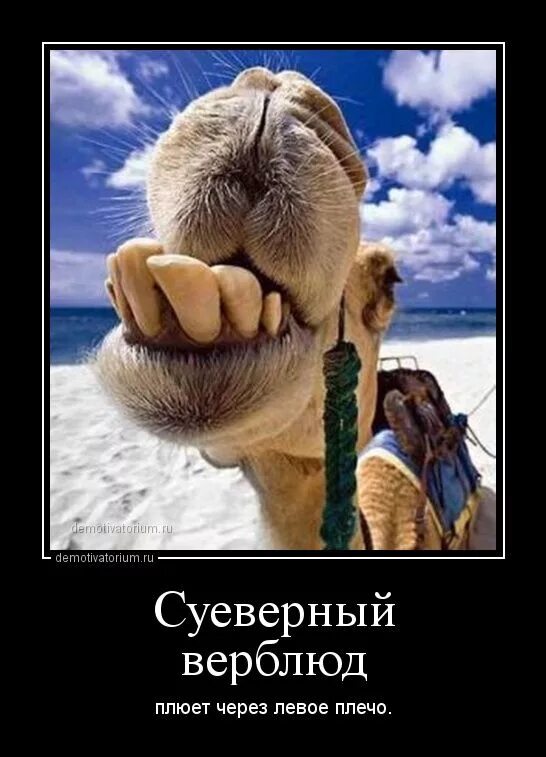 Сплюнуть через левое плечо. Сплюнуть через левое плечо. Сплюнь через левое плечо. Тьфу тьфу картинки. Через левое плечо.