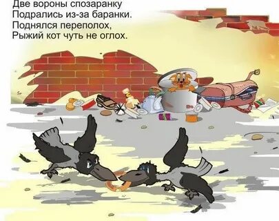 Как привлечь внимание вороны