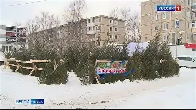 Елочный базар тверь