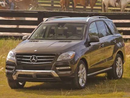 Mercedes m
