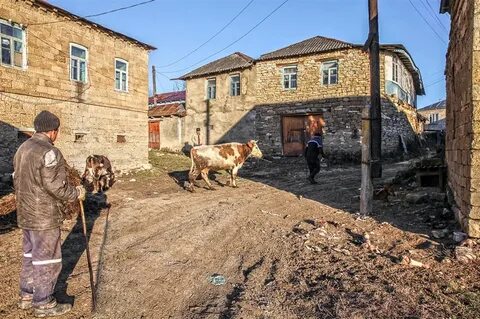 Программа аула