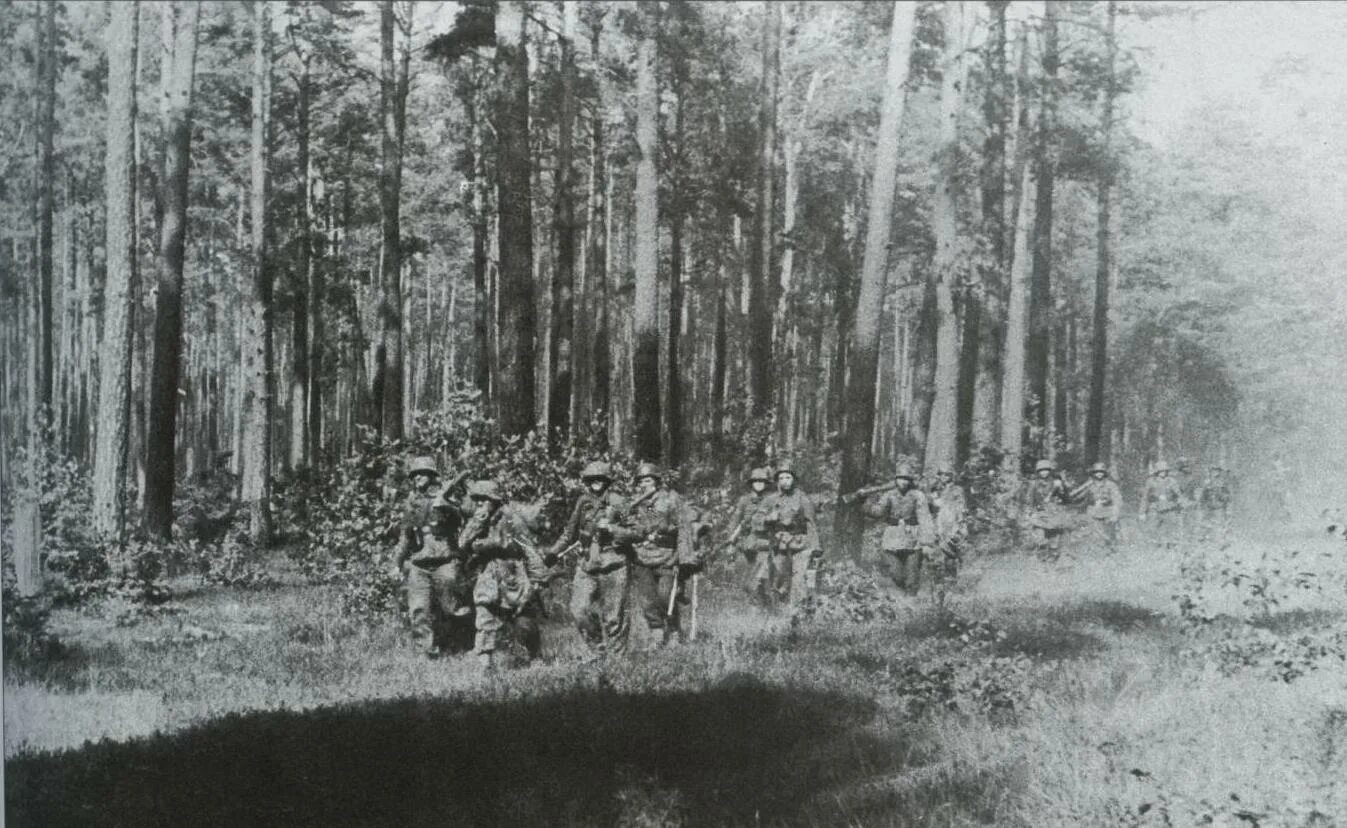 Лес в годы великой отечественной. Партизаны 1942. Титовка 1941. Арденский лес первая мировая. Синявинские болота вов.