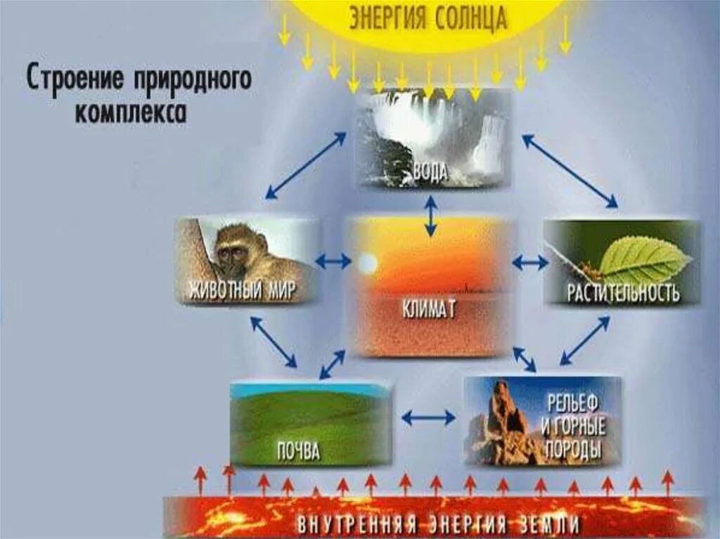 Природные комплексы в порядке увеличения. Природный территориальный комплекс. Схема природного комплекса. Компоненты природного комплекса. Строение природного комплекса.