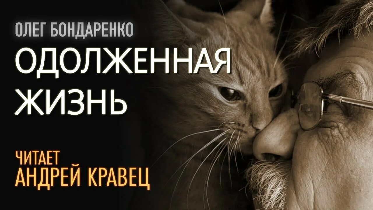 Рассказы Бондаренко о животных. Рассказы бондаренко читать