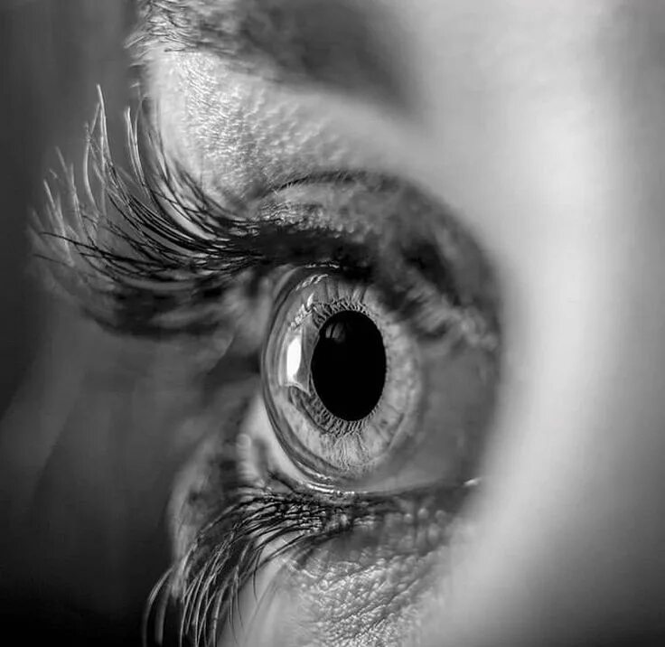 Глаза придадут. Глаз какой тяжелый. Глаз какой тяжелый. Цвета глаз у человека. Голубо серые глаза.