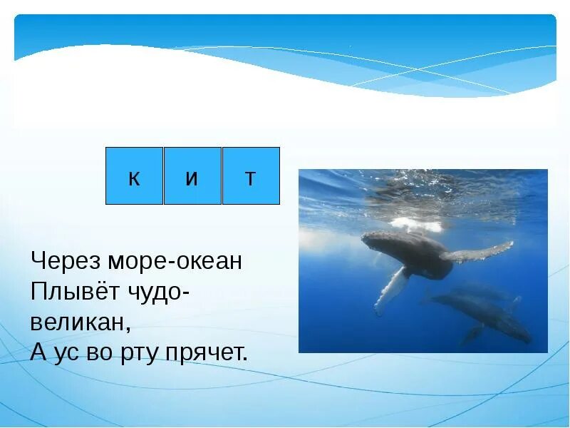 Через океан плывет. Через океан плывет великан. Кроссворд на тему обитатели морей и океанов. Плыть через океан. Через моря и океаны поплыла.