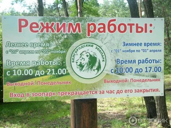 Подворье график работы. Епифаново подворье зоопарк. зоопарк белгород. епифань зоопарк. зоопарк в епифани тульская область.