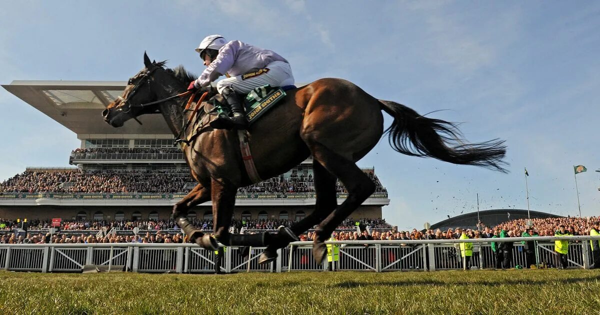 Which horse are you today. The grand national is a horse. Скачки. Grand national aintree. The grand national is a horse.