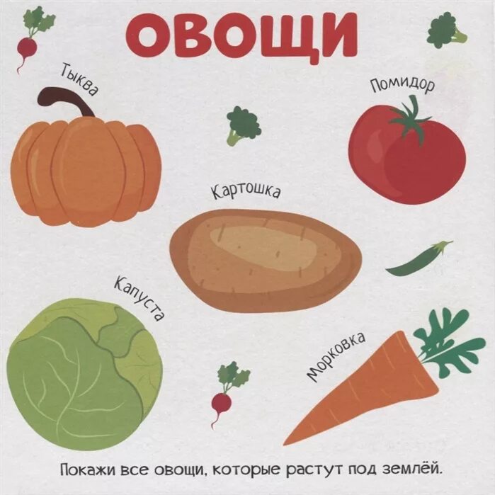 Все овощи которые есть. Овощи которые растут над землей. овощи которые растут над землей список. все об овощах. мои первые слова в картинках.