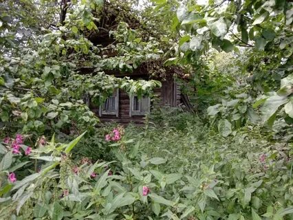 Погода тверская область конаковский