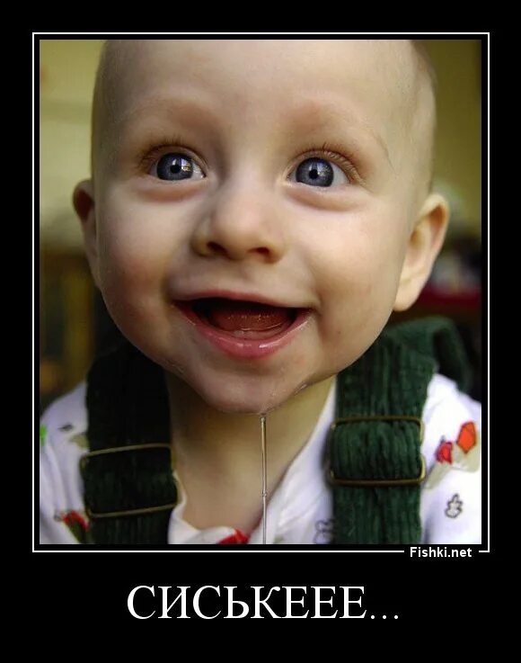 Картина вицин моргунов и никулин. Ыть ыть. Тролль без фона. Валерьянка для котов. Смех ы ы ы.