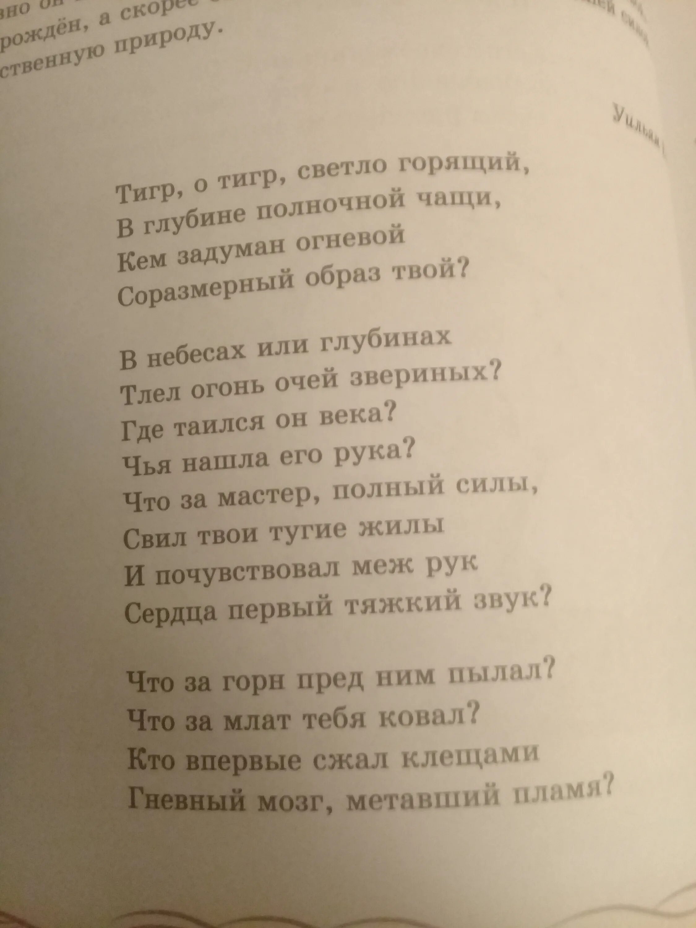 Стихотворение тигр тигр. Стих тигр тигр жгучий страх. Уильям Блейк тигр тигр жгучий страх. Уильям Блейк стихи тигр тигр жгучий страх. Тигр тигр жгучий страх ты