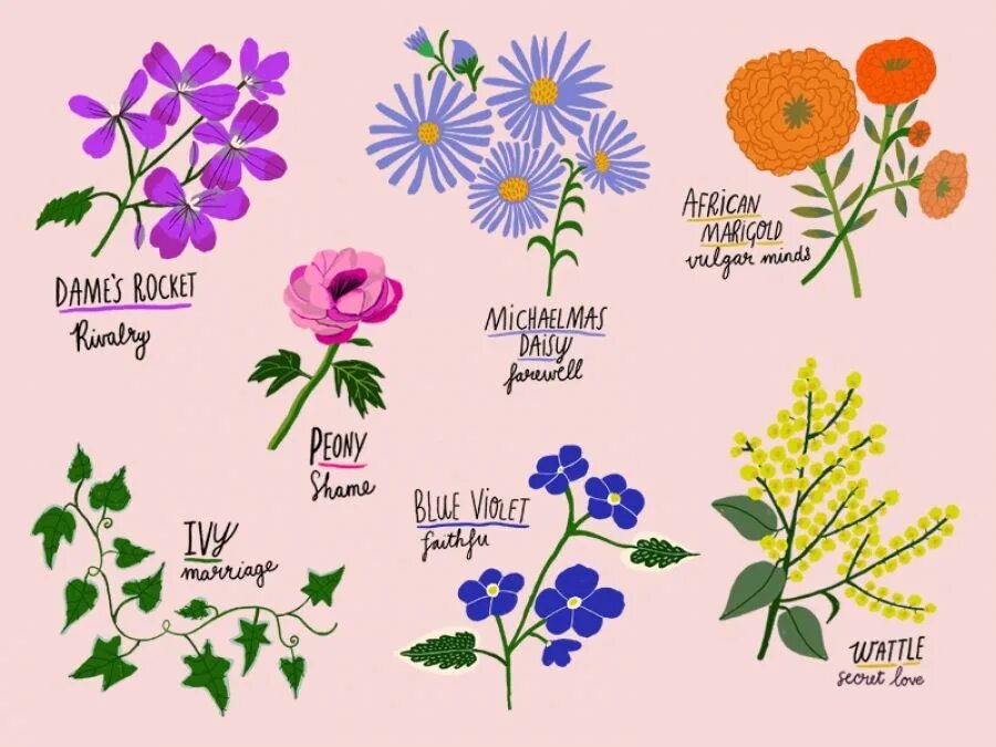 Flower language приложение