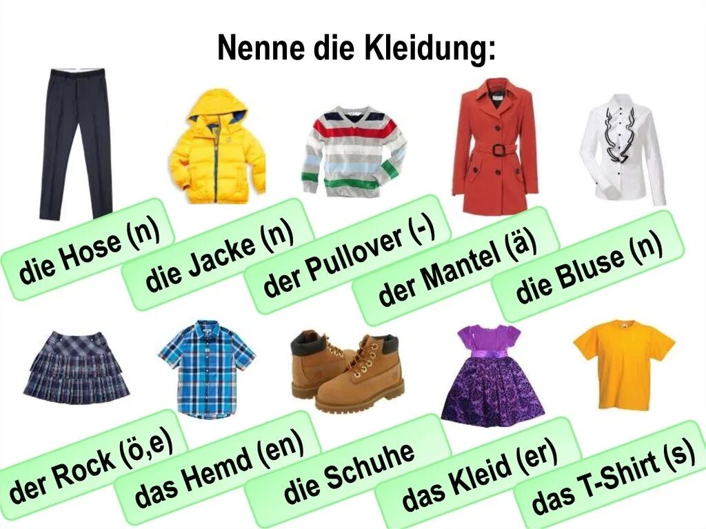 Die Kleidung презентация. Kleidung немецкий. Kleidung одежда. Одежда на немецком языке. Welche hat die