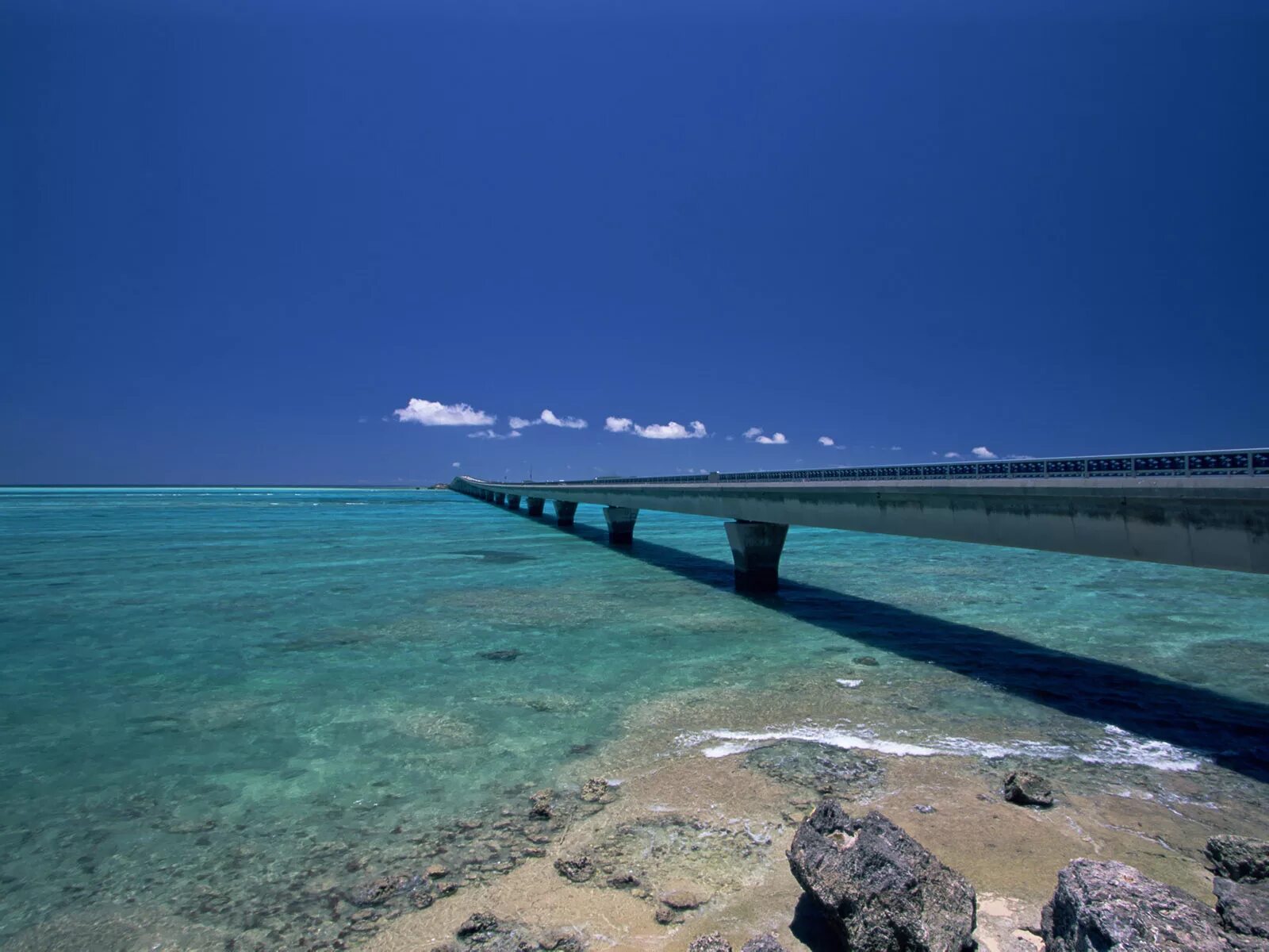 Beach full