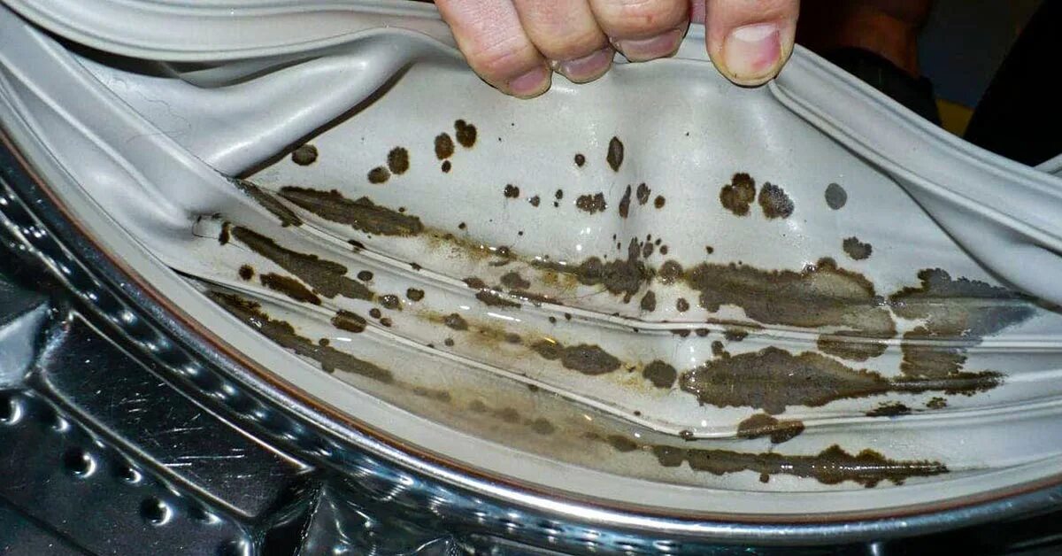 Черные резиновые полоски в барабане стиральной машины. Плеснньв стиральной машине. Плесень в стиралке. Плесень в ванной на потолке. Плень в стиральной машинке.