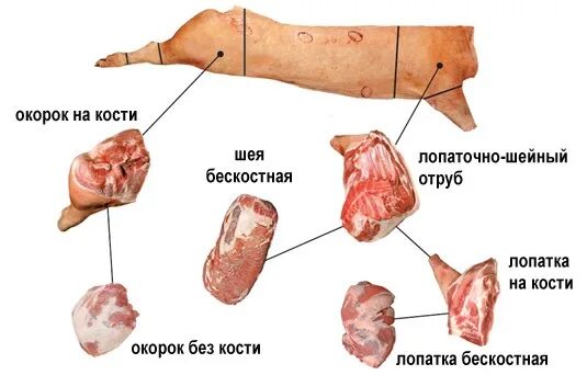 Окорок свиной схема разделки. Разделка свинины. Части свиной туши. Части свиньи названия