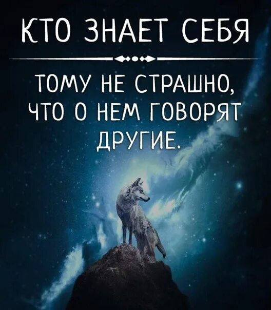 Цитата брюс ли про удар. Цитаты. Людей вокруг так много добрых что страшно к ним спиною встать. Бойся того кто знает. Бойся того кто знает.