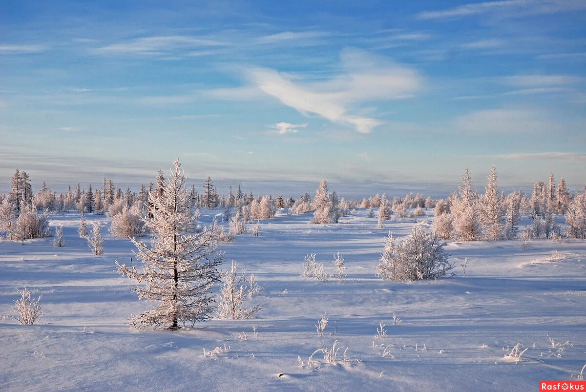 ладожское озеро северное сияние. ямальская тундра. карелия зимой северное сияние. северное сияние на ямале. кенозеро церковь радуга.
