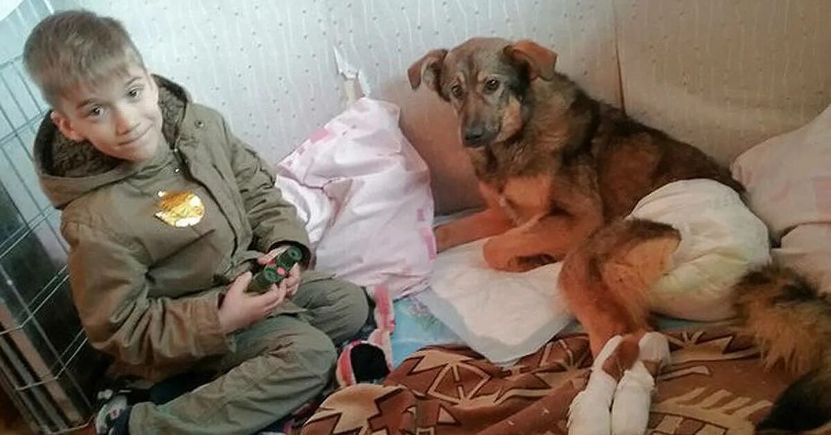 Включи спасать животных