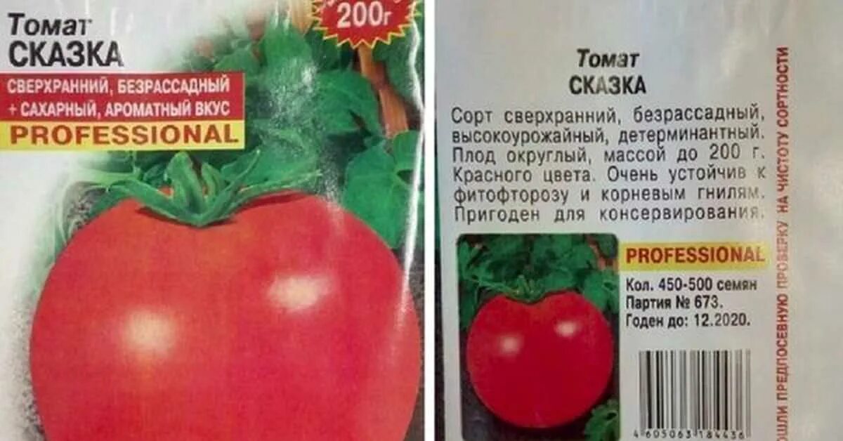 Томат медвежье ухо. Сорта томатов длинных на букву ф. Сорт томатов резонанс. Помидоры на рабочий стол. Томаты сорт академик сахаров.