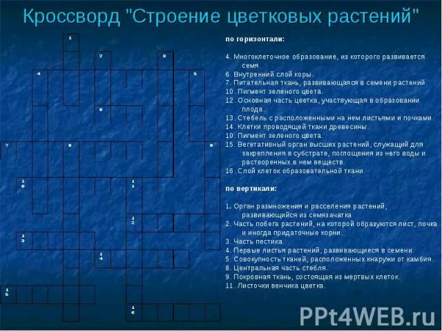 Кроссворд клеточное строение листа. Строение кроссворд. кроссворд на тему органы цветкового растения. кроссворд на тему покрытосеменные растения. кроссворд на тему части растений.