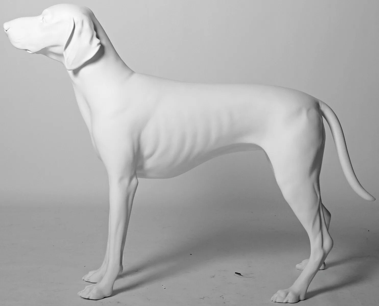 Манекен собаки для одежды. Манекен собаки. Манекен собака. Попонка для живота корги. Манекен собака.